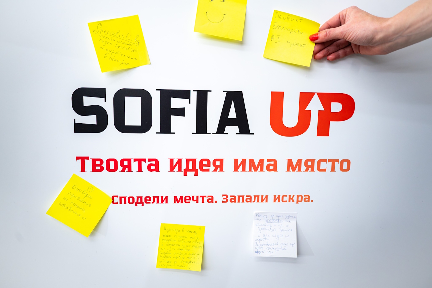 Sofia Up-1