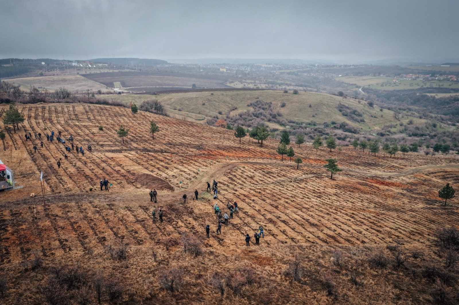 Десетки доброволци (3)