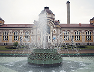 Минерални извори